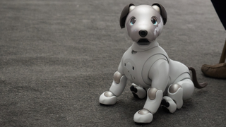 Sony, Please Let Me Play With This Good Boy